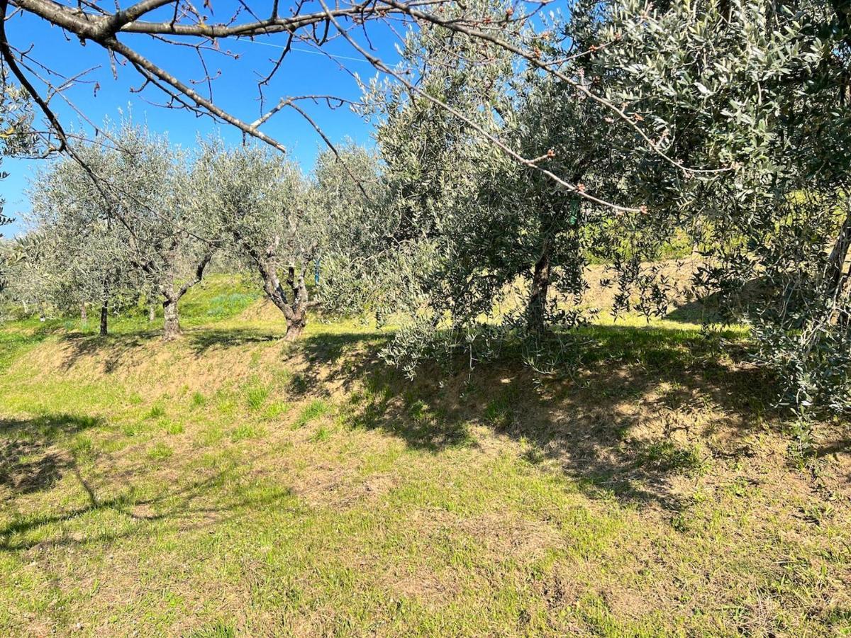 Casa Pozzi Villa Капанари Екстериор снимка